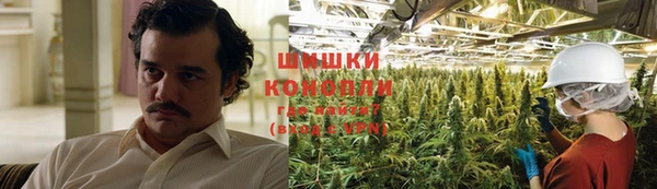 ГАЛЛЮЦИНОГЕННЫЕ ГРИБЫ Заволжск