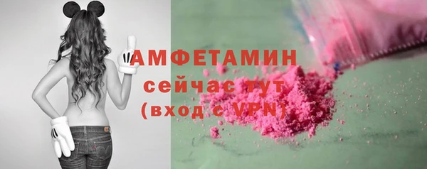 ГАЛЛЮЦИНОГЕННЫЕ ГРИБЫ Заволжье