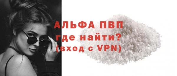 ГАЛЛЮЦИНОГЕННЫЕ ГРИБЫ Заволжье
