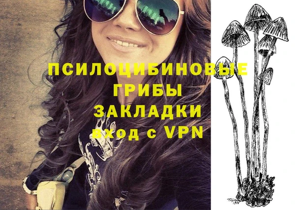 ГАЛЛЮЦИНОГЕННЫЕ ГРИБЫ Заволжск