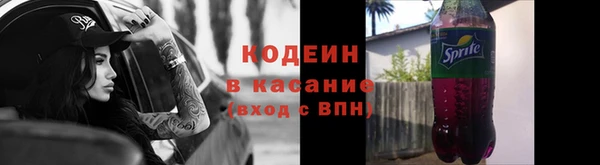 ГАЛЛЮЦИНОГЕННЫЕ ГРИБЫ Заволжье