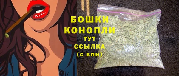 ГАЛЛЮЦИНОГЕННЫЕ ГРИБЫ Заволжье