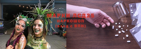 ГАЛЛЮЦИНОГЕННЫЕ ГРИБЫ Заволжье