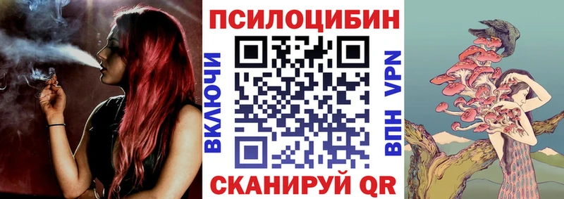 Купить где  Куртамыш  Псилоцибиновые грибы прущие грибы 
